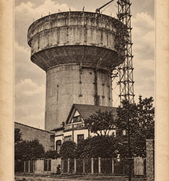 Fotografía histórica de la Copa de Agua de avenida Picarte en Valdivia, publicada en el Álbum Biográfico de Valdivia de 1941